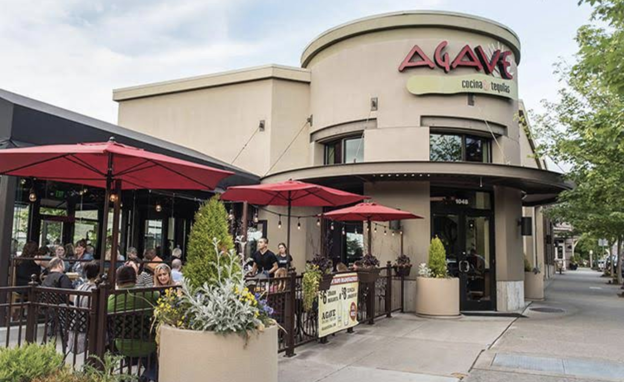 Agave Issaquah