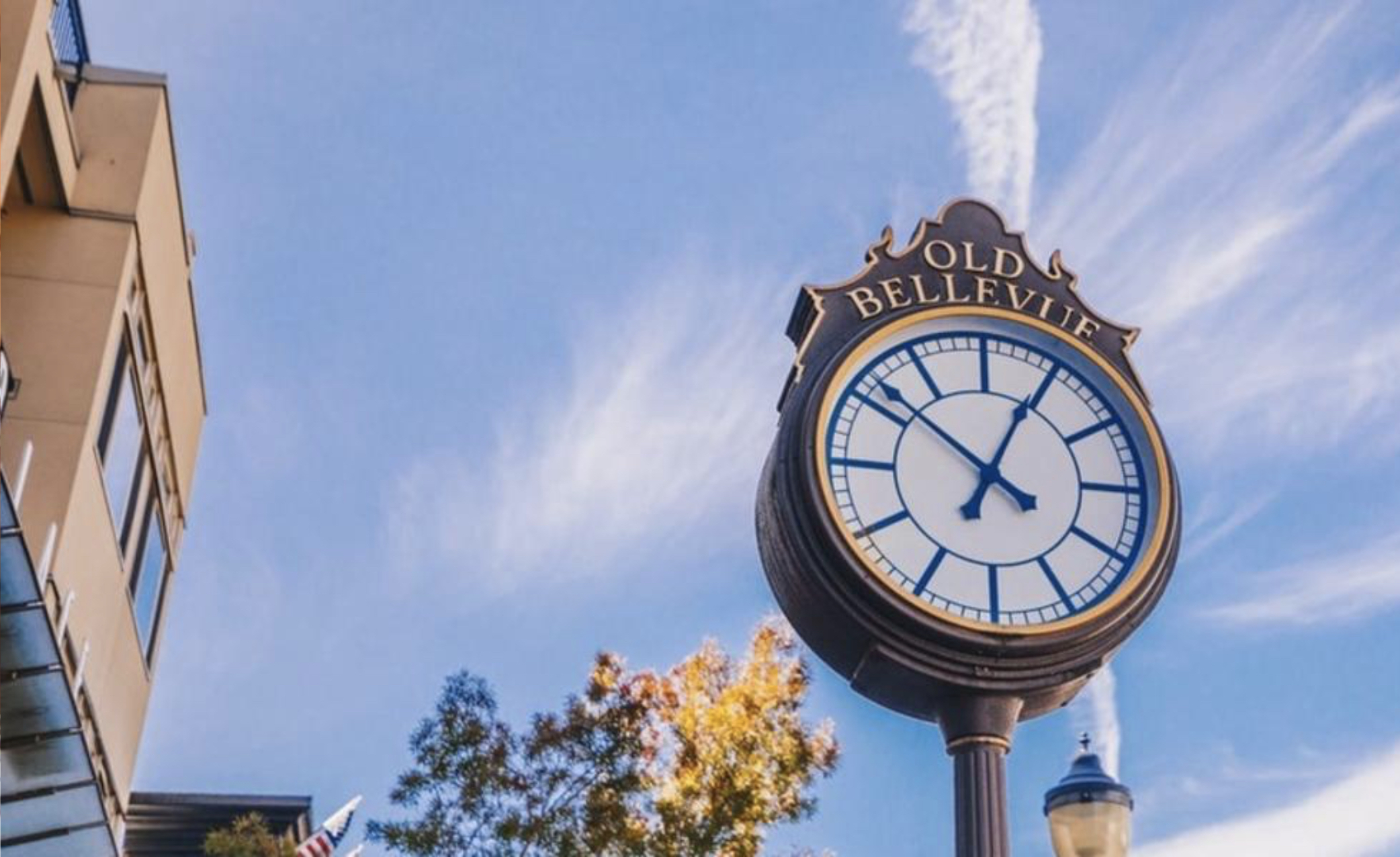 Salute of Bellevue
